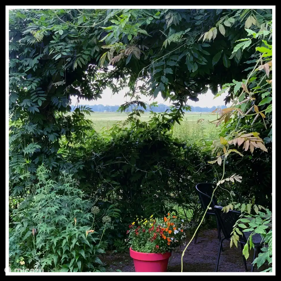 Blick auf die Wiese.