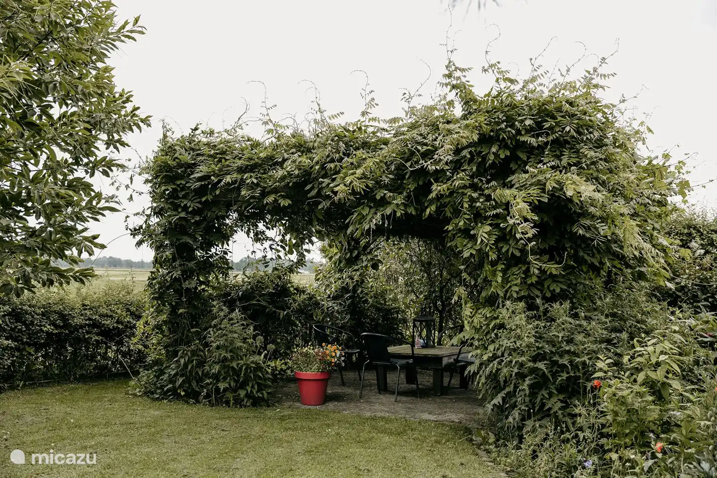 Terrasse im hinteren Teil des Gartens.