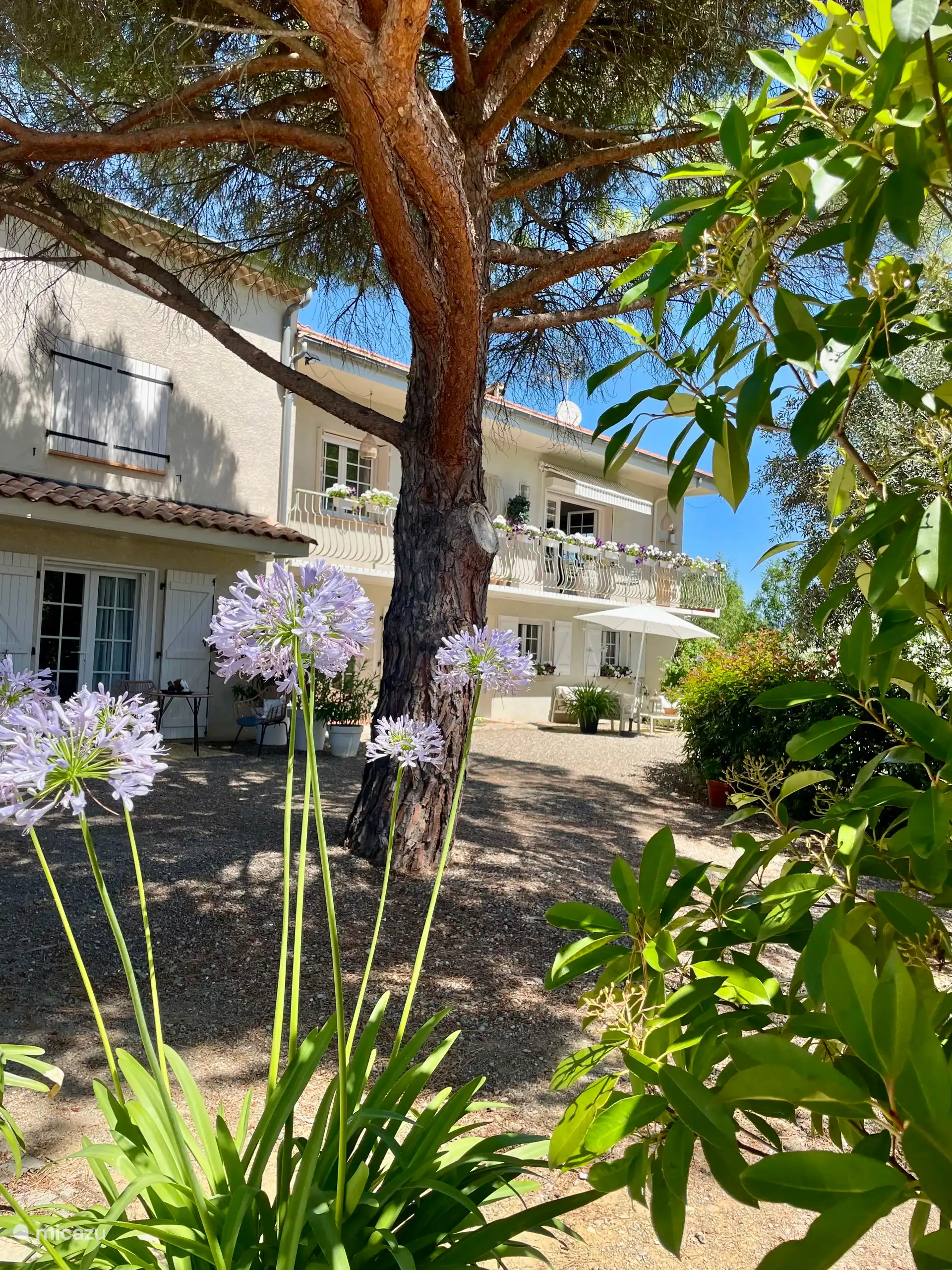 Senderismo, Francia, Hérault, Prades-sur-Vernazobre, casa rural / cabaña casa rural boutique5