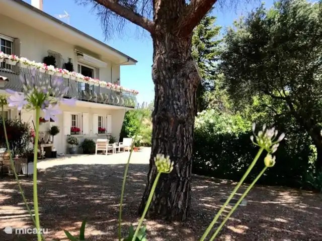 Location de Vacances France, Hérault, Prades-sur-Vernazobre, gîte / cottage - Gîte de charme5 Location de Vacances France, Hérault, Prades-sur-Vernazobre, gîte / cottage - Gîte de charme5