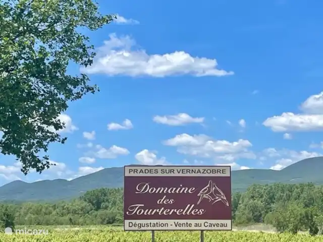 Location de Vacances France, Hérault, Prades-sur-Vernazobre, gîte / cottage - Gîte de charme5