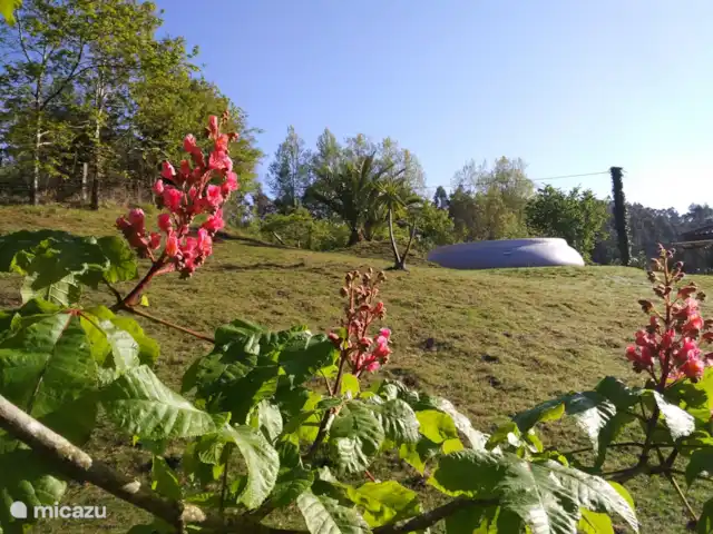 Location de Vacances Espagne, Cantabrie, Cartes, gîte / cottage - San Cipriano
