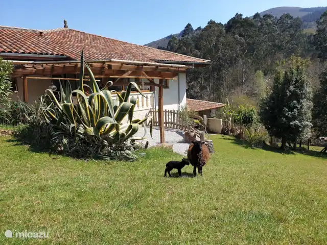 Location de Vacances Espagne, Cantabrie, Cartes, gîte / cottage - San Cipriano