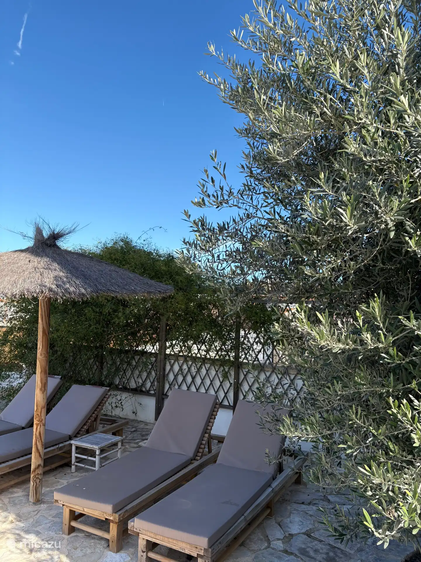 Lits de camp près de la piscine 