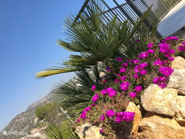Villa Collines Sitges | Espagne, Barcelone, Olivella - villa Jardin arboré