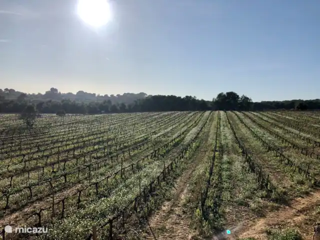 Villa Collines Sitges | Espagne, Barcelone, Olivella - villa Région viticole