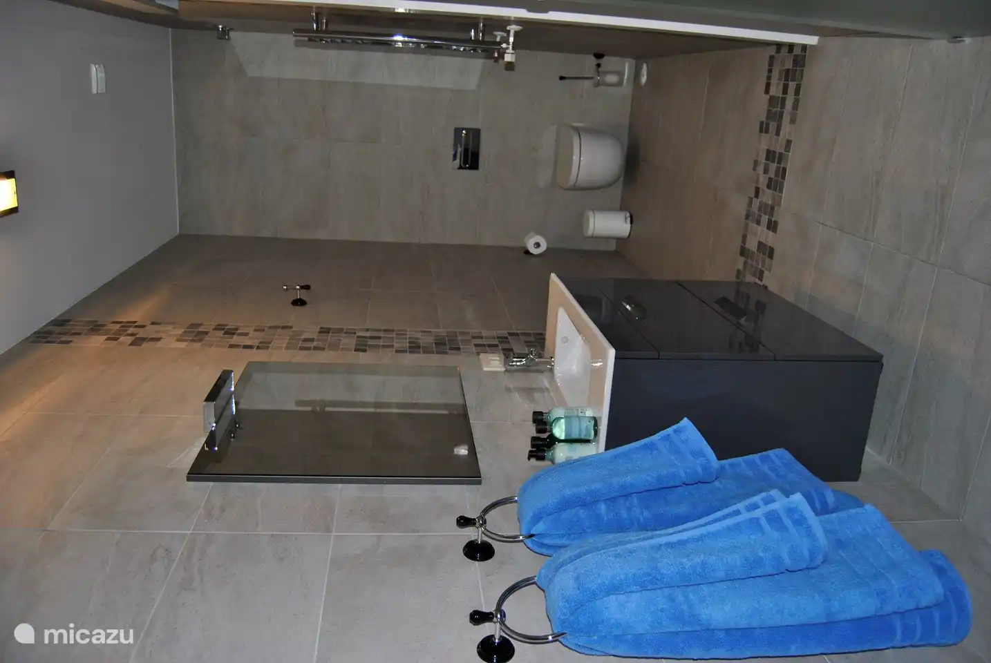 Luxuriöses Badezimmer mit ebenerdiger Regendusche, Waschbecken mit Spiegel.