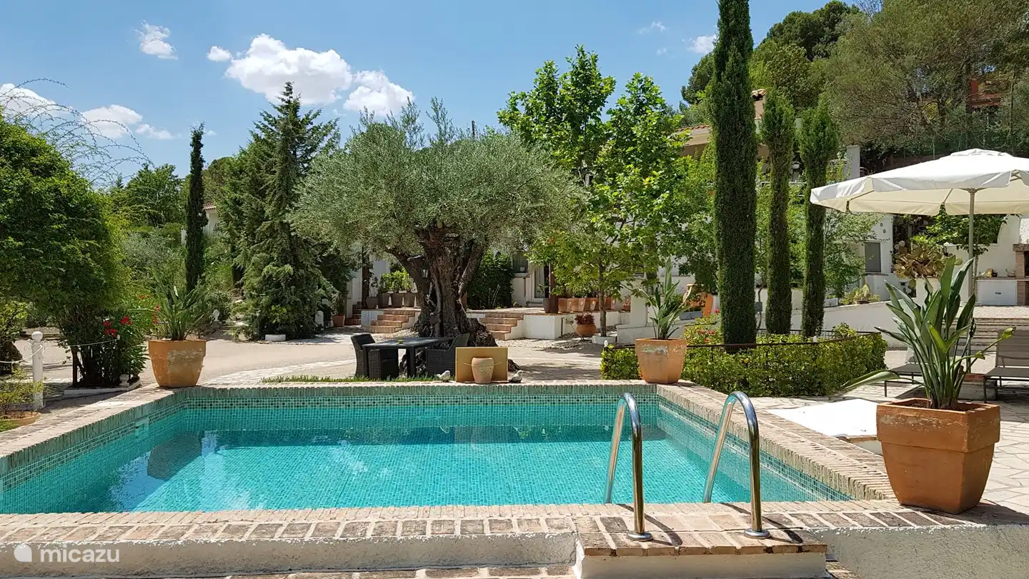 Gemeinschaftspool für unsere 6 Gäste.