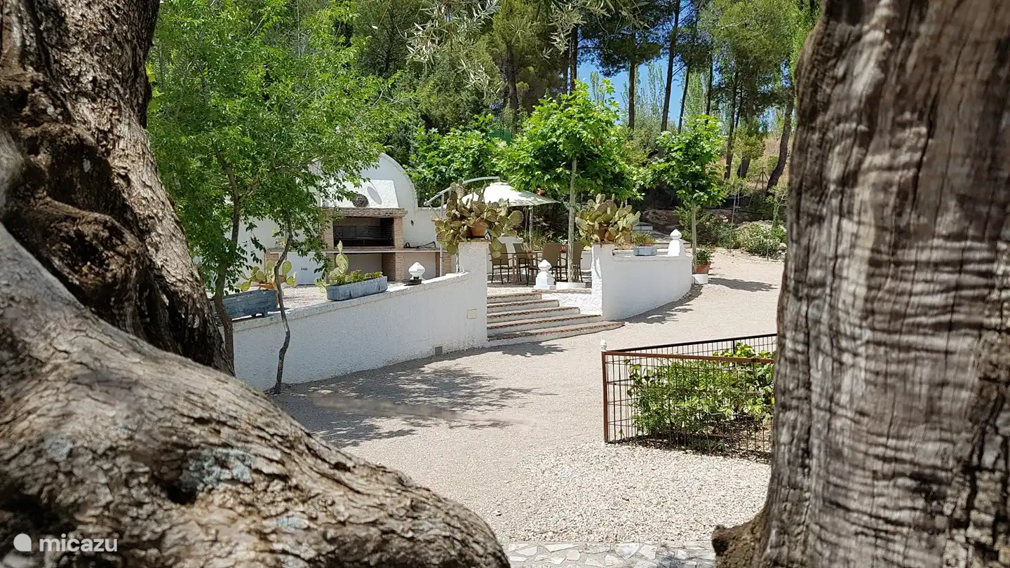 Die Studios befinden sich im alten Olivenhain.