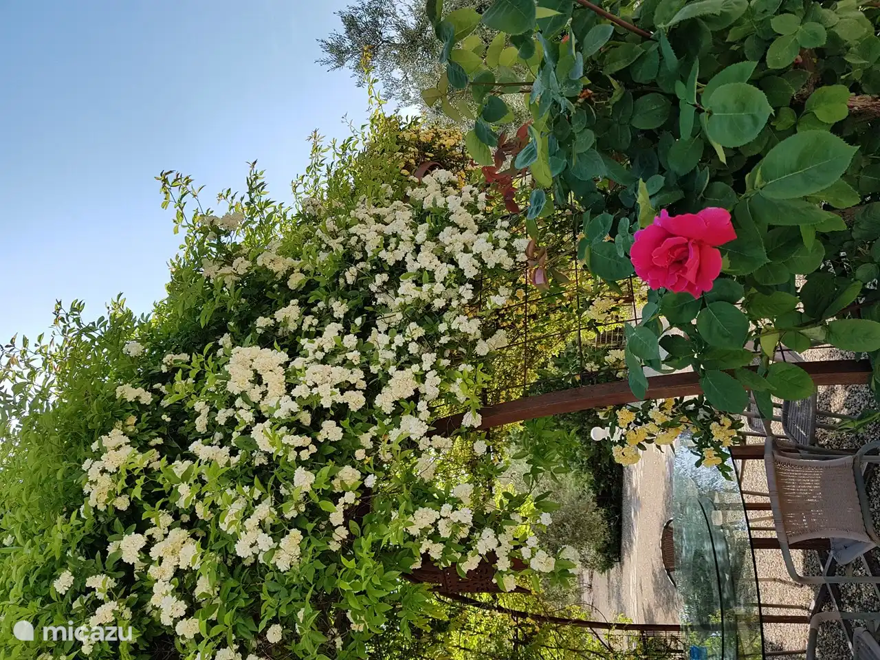 Im Garten gibt es viele Sitzgelegenheiten, um zum Beispiel ein Buch zu lesen.