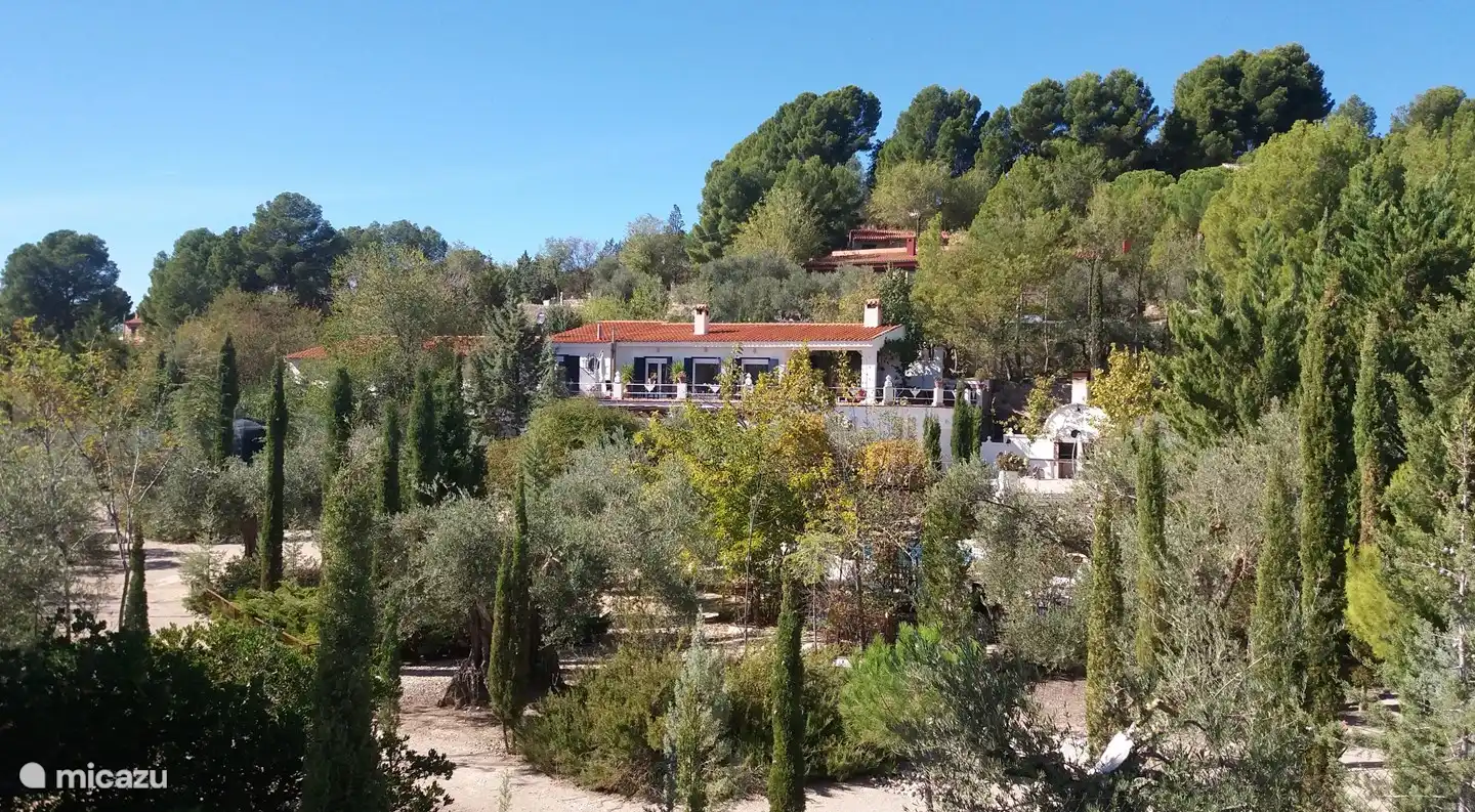 Der Garten ist traditionell ein Olivenhain.