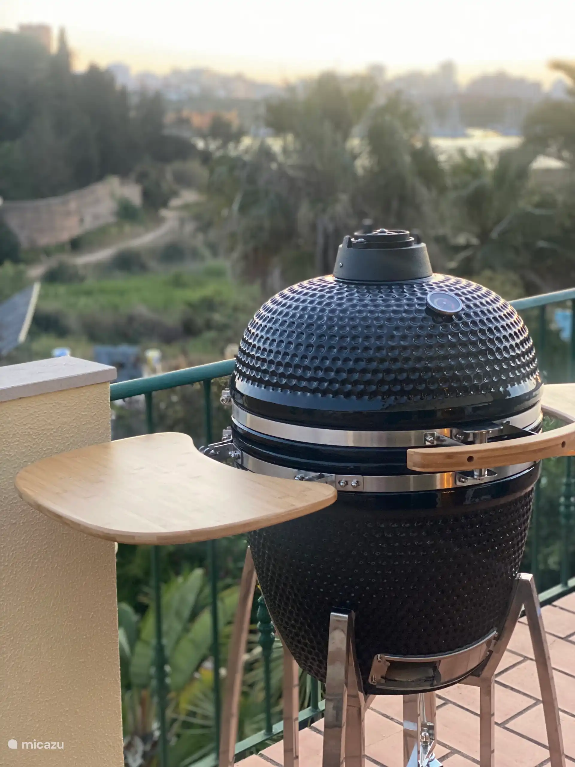 Kamado Grill/Huevo Verde