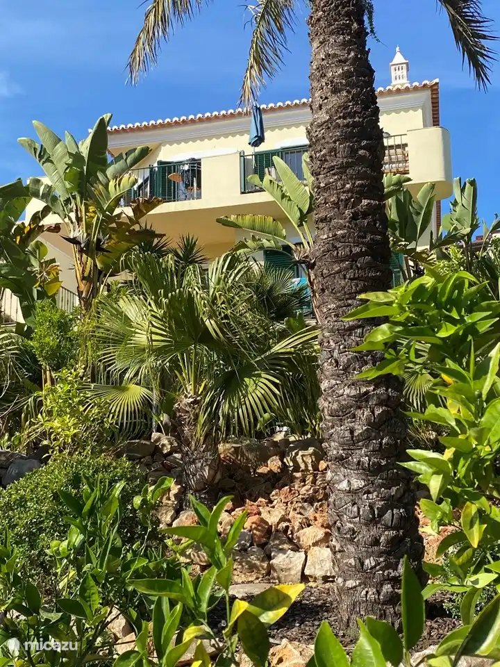 2 pisos superiores de la casa vistos desde el jardín