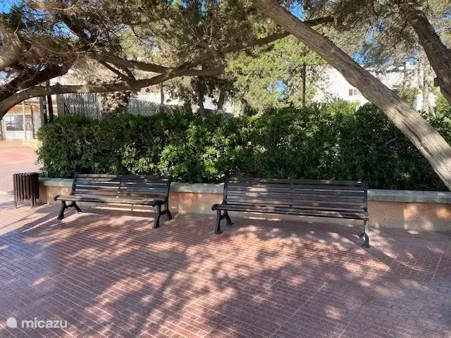 bench on the boulevard