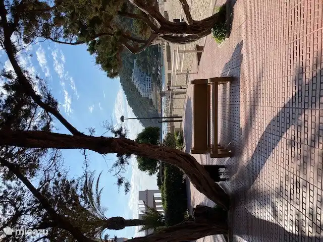 view from the bench on the boulevard