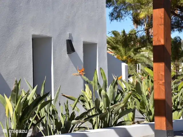 Maison Strelitzia | Espagne, Costa Blanca, Calpe - villa Sur le parking
