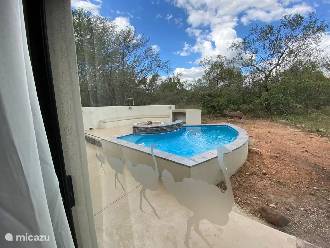 Vue de la maison sur la piscine