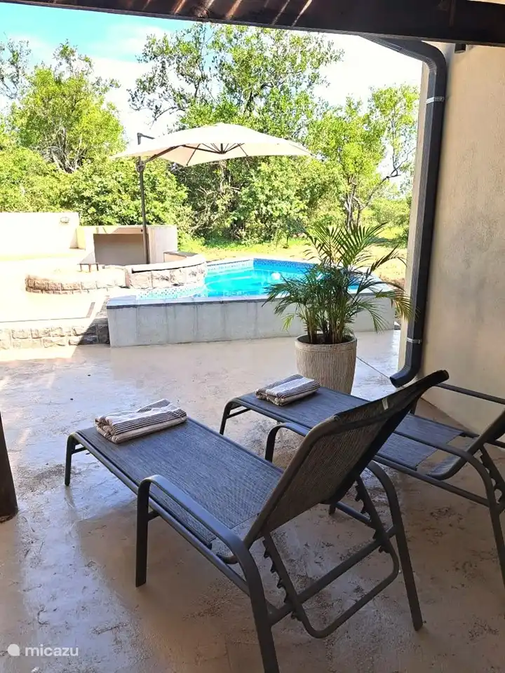 transats au bord de la piscine