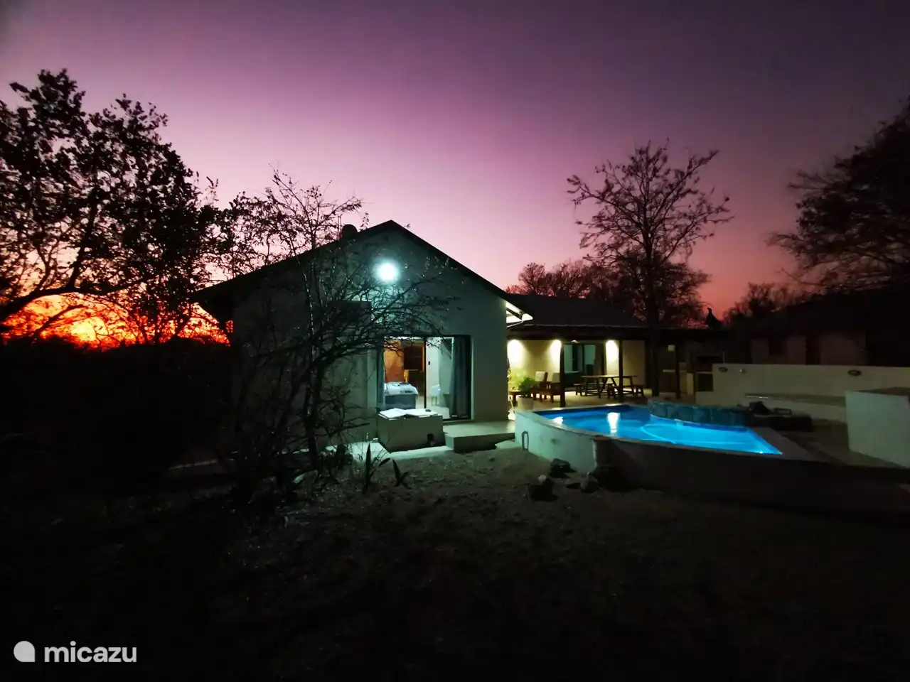 Peau d'autruche avec un beau coucher de soleil