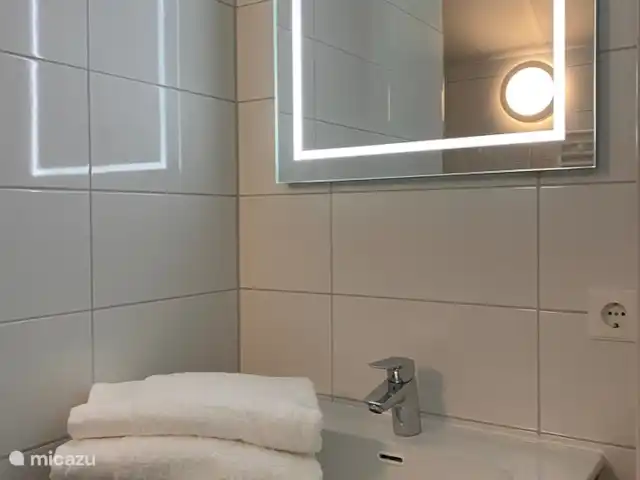 La casa de campo de los Pimpelmees en Países Bajos, Overijssel, Hoge Hexel - casa vacacional Baño