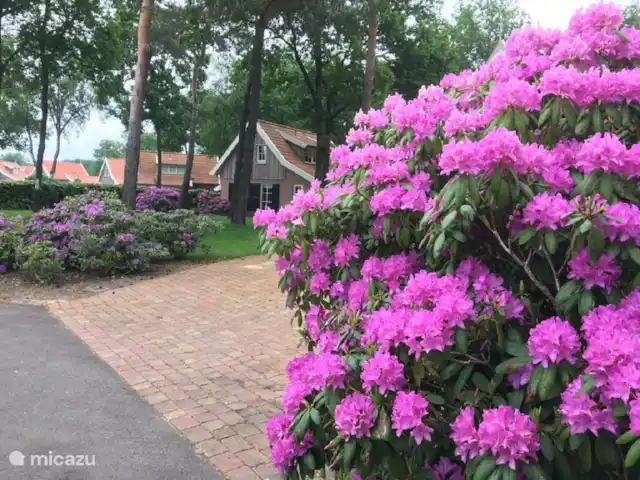 La casa de campo de los Pimpelmees en Países Bajos, Overijssel, Hoge Hexel - casa vacacional Parque de vacaciones