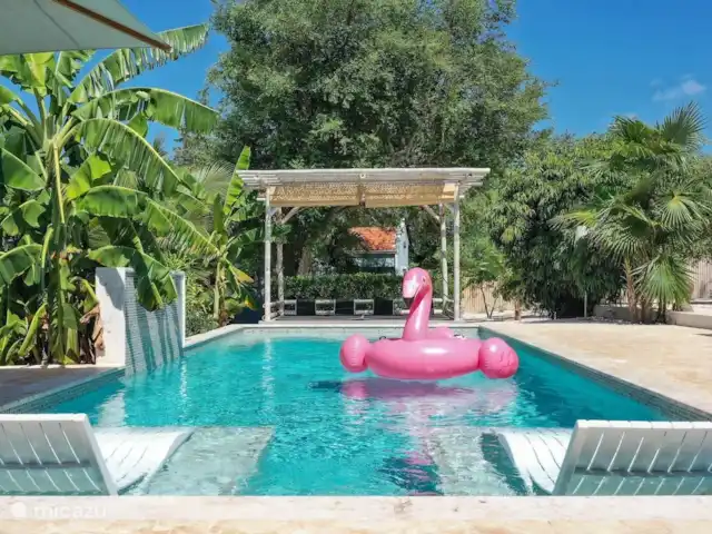 Boutique Fuik 3 | Curaçao, Banda Ariba (est), Montan'i Rei - appartement Piscine avec jardin