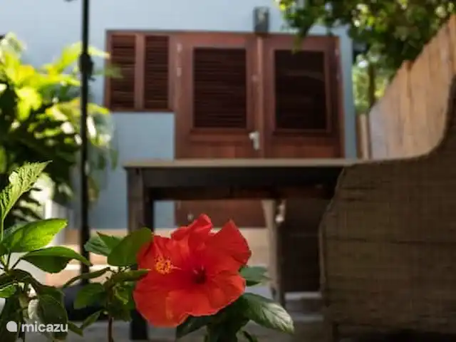 Boutique Fuik 3 | Curaçao, Banda Ariba (est), Montan'i Rei - appartement Terrasse