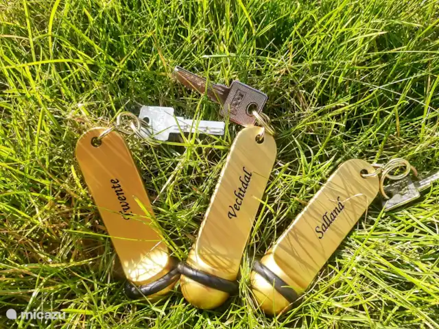 Ervedriestreek | Pays-Bas, Overijssel, Den Ham - maison de vacances Clés