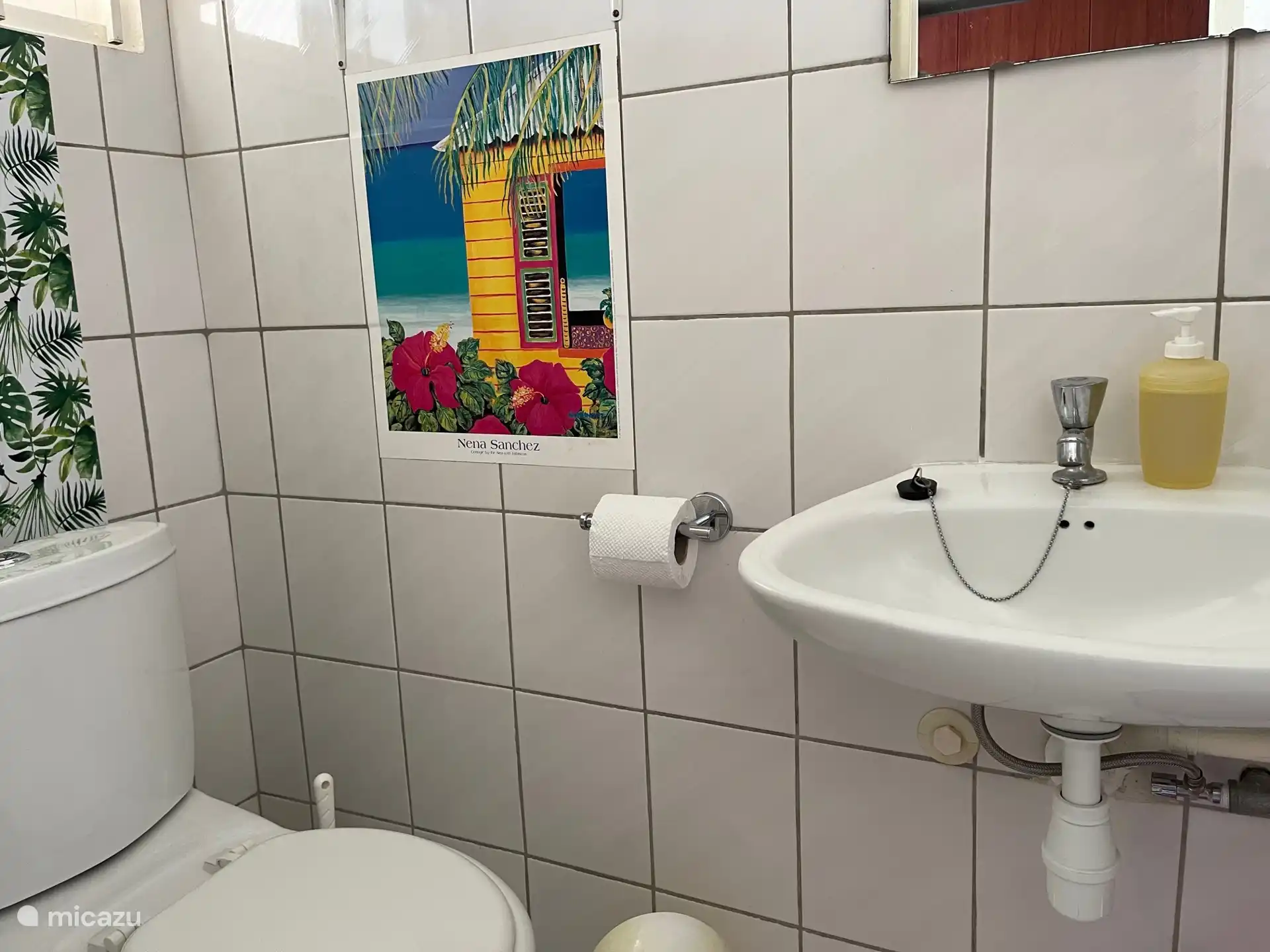 kleine badkamer met wc en wasbak/spiegel