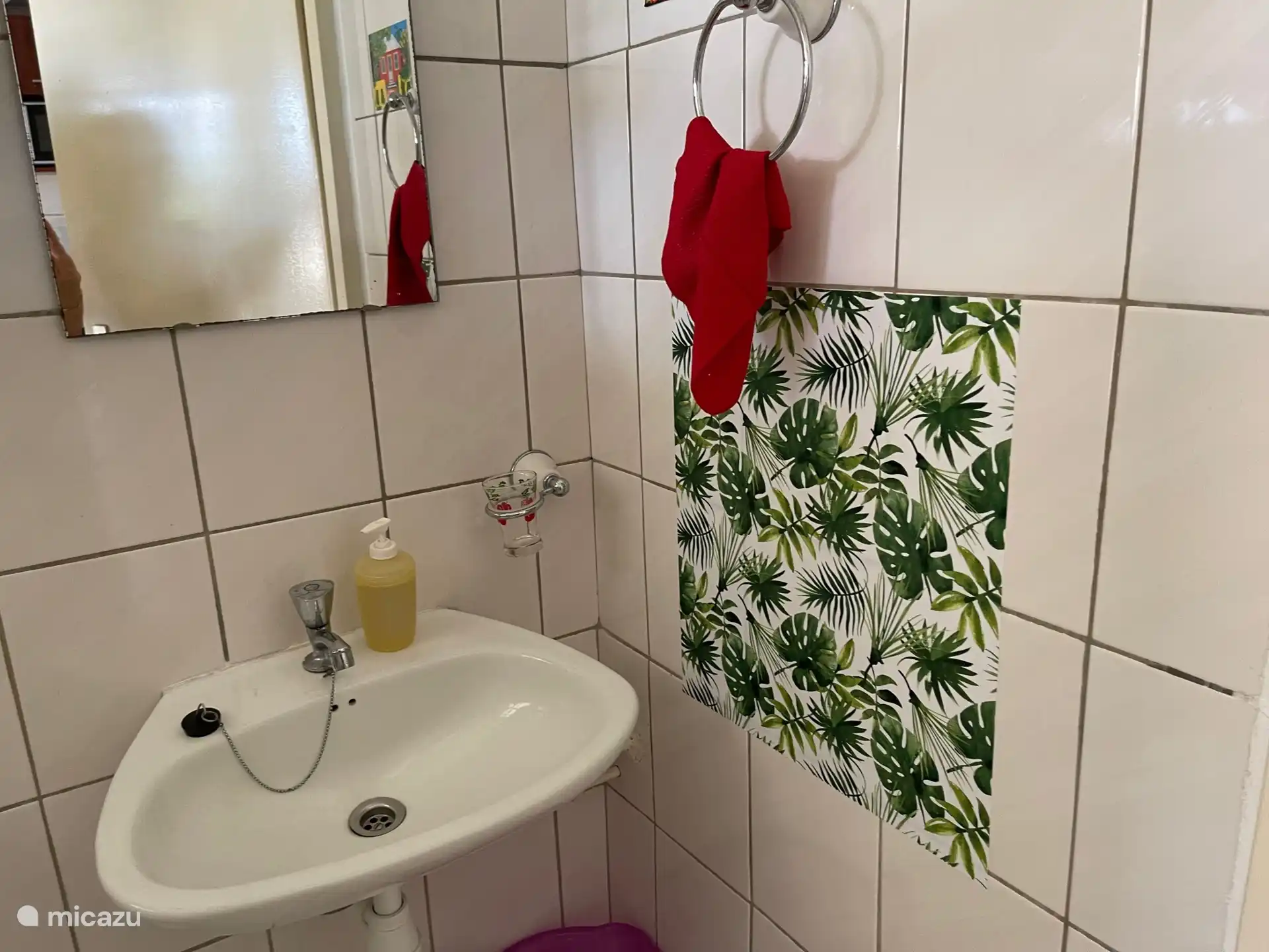 kleine badkamer met wasbak/spiegel en wc