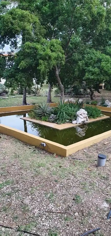 tuin met diverse vijvertjes