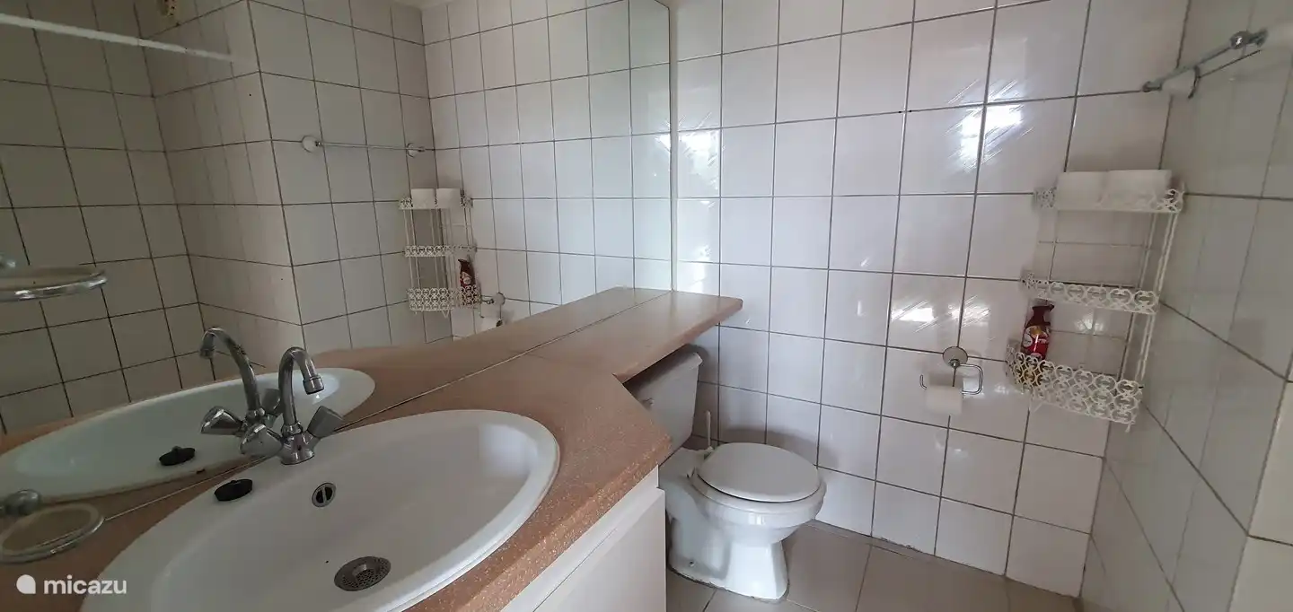 badkamer met toilet, wastafel meubel en douche