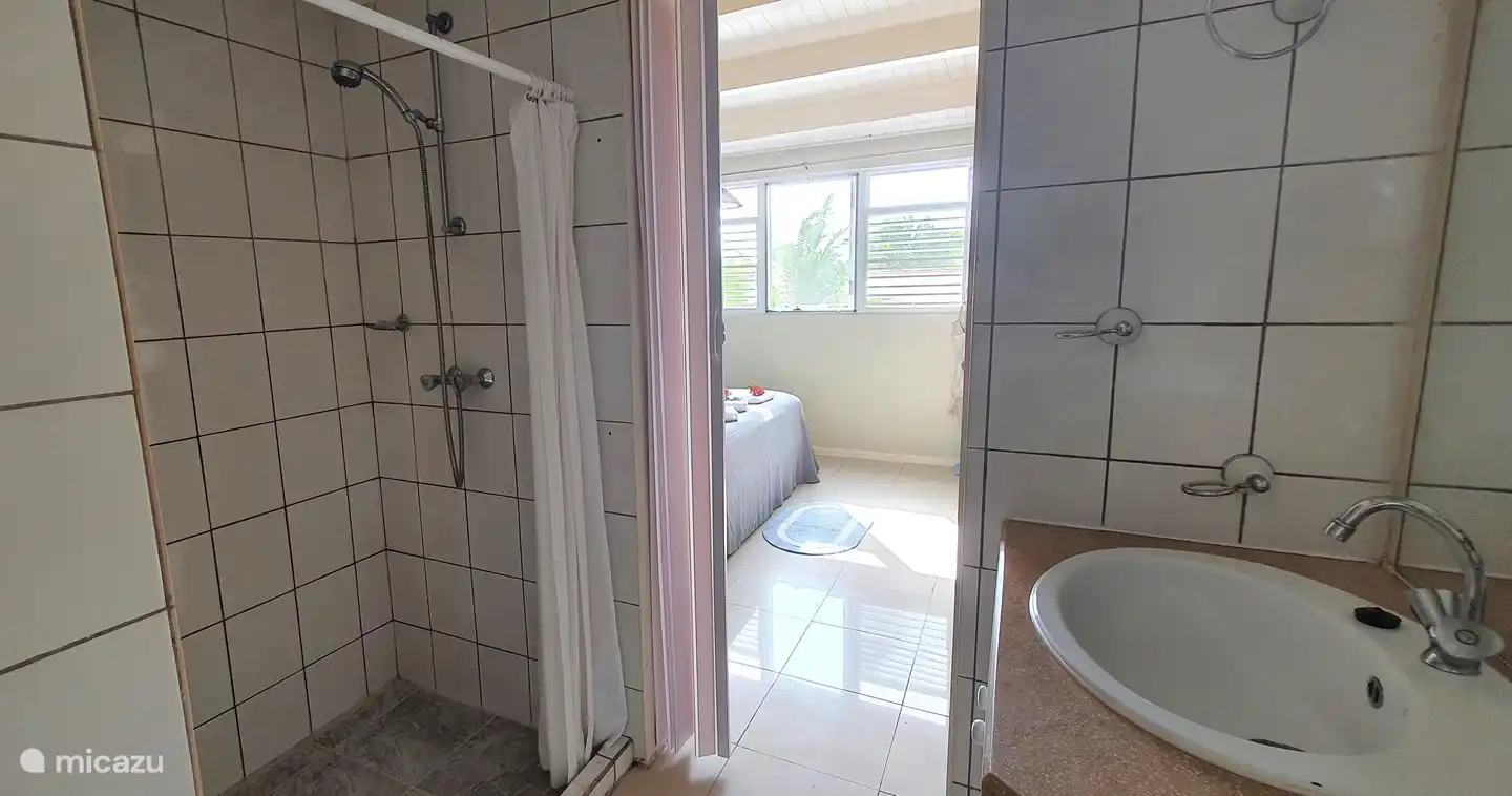 inloopbadkamer met douche,toilet en wastafel