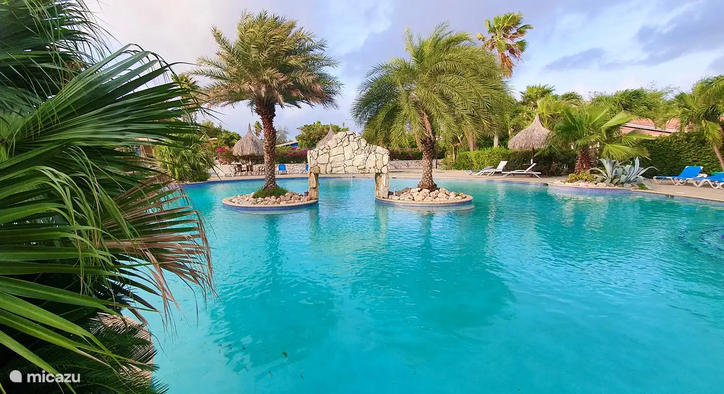 het fantastische grote ronde zwembad