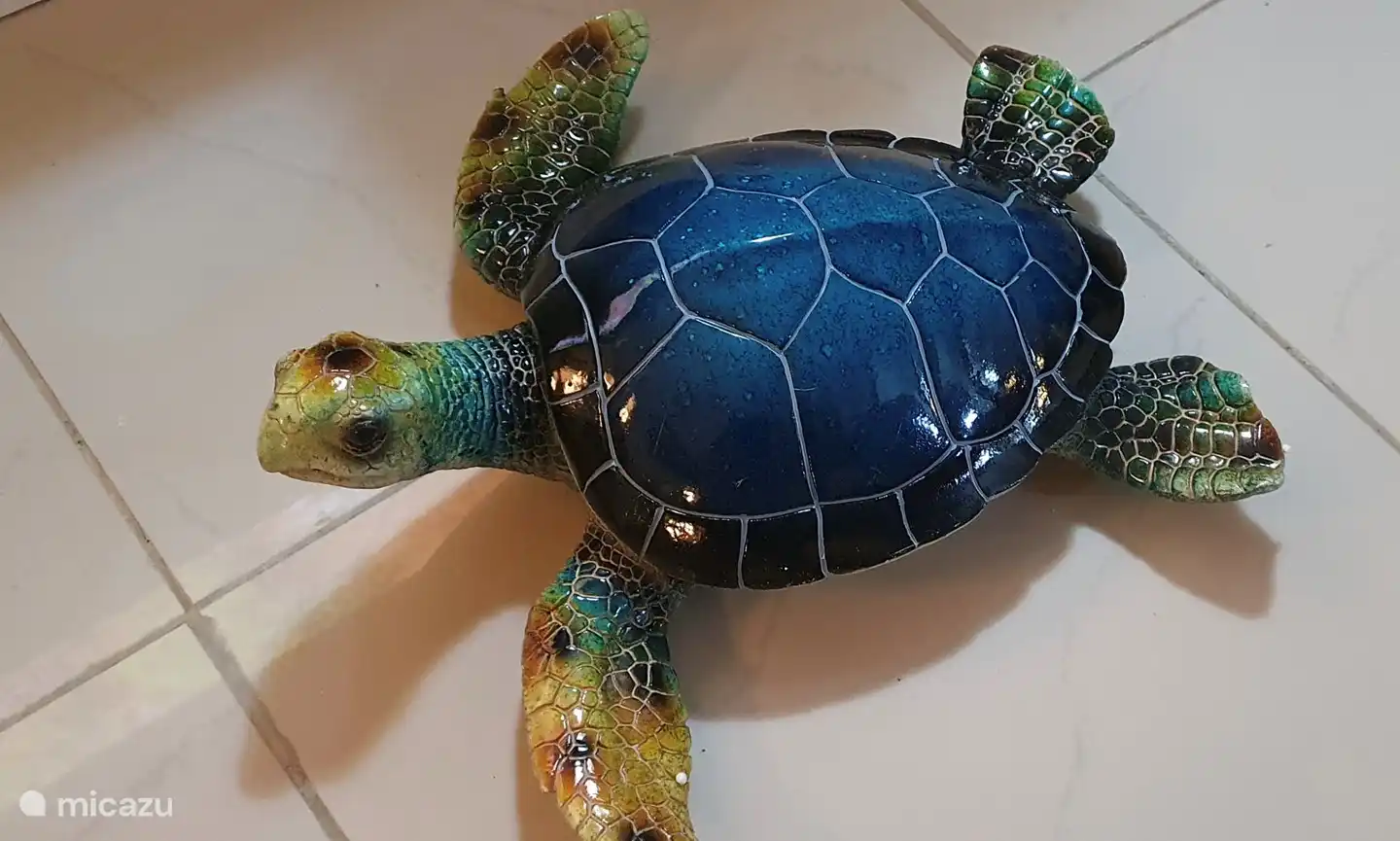 porcelijnen schildpad in appartement