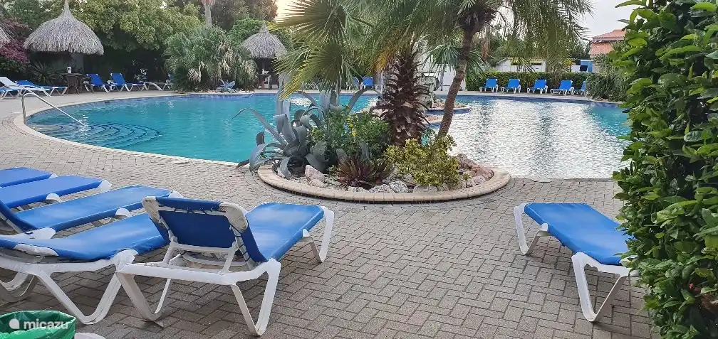 grote zwembad met apart babybadje. in het midden 2 palmeilandjes met waterval. s’avonds verlicht