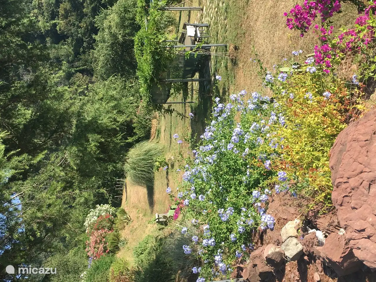 Jardín comunitario - con piscina, barbacoa, pérgola con mesa de comedor