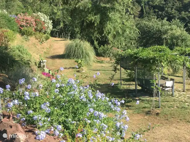 2 - Cinque Terre - Toscane - Lerici | Italie, Ligurie, Lerici - appartement Jardin commun - avec piscine, barbecue, pergola avec table à manger