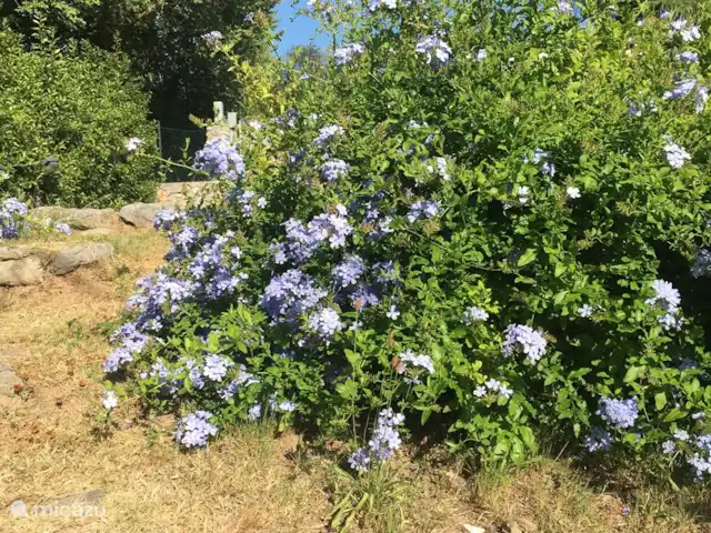 2 - Cinque Terre - Toscane - Lerici | Italie, Ligurie, Lerici - appartement Jardin commun - avec piscine, barbecue, pergola avec table à manger
