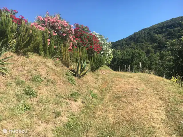 2 - Cinque Terre - Toscane - Lerici | Italie, Ligurie, Lerici - appartement Jardin commun - avec piscine, barbecue, pergola avec table à manger