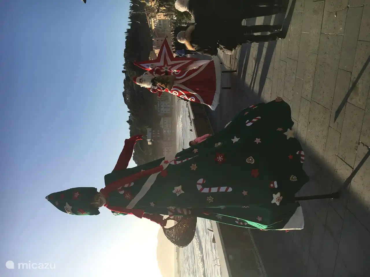 Lerici en invierno (Navidad)