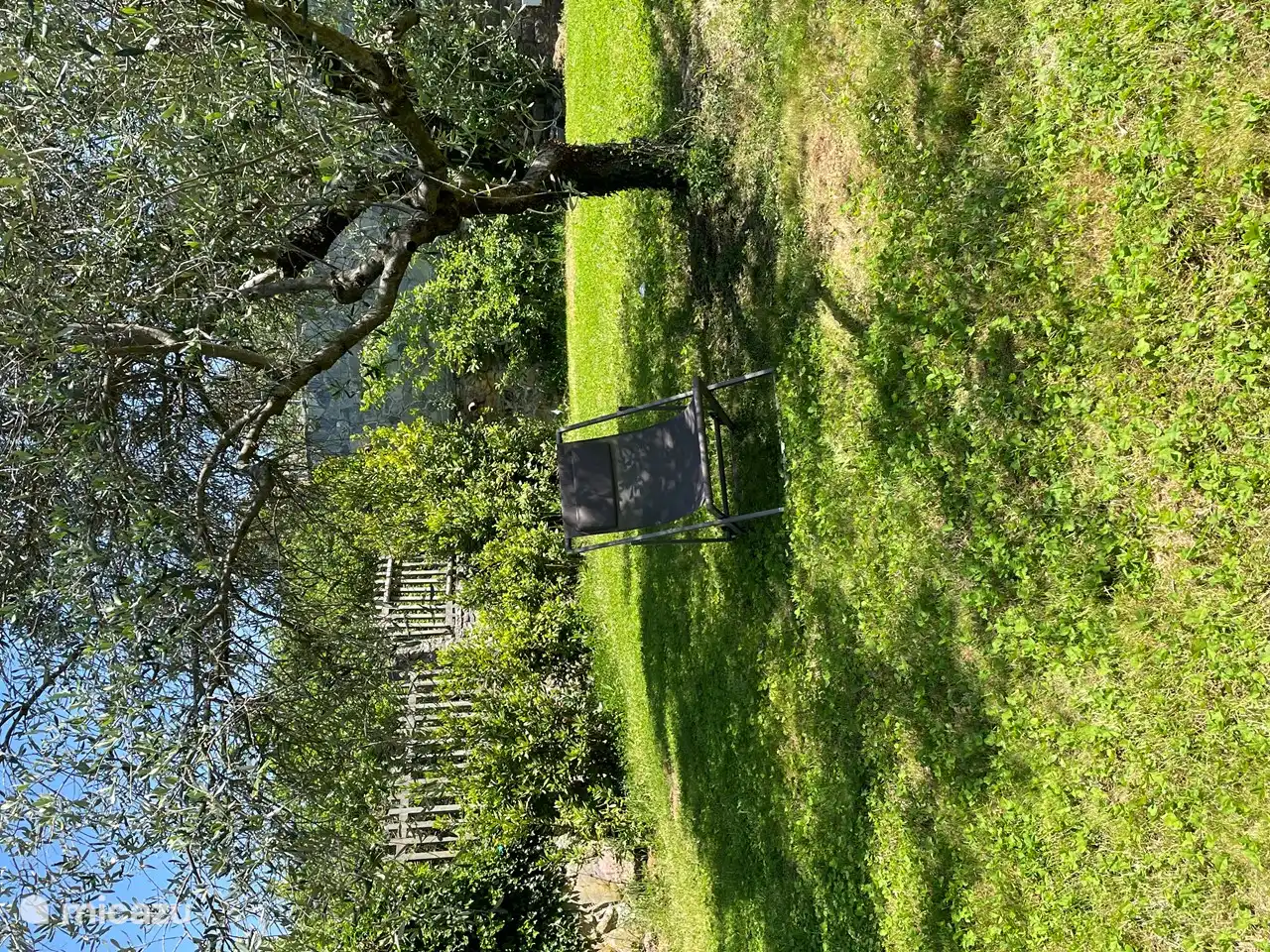 Jardín privado - sala de estar a la sombra de un olivo