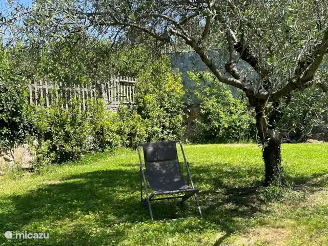 2 - Cinque Terre - Toscane - Lerici | Italie, Ligurie, Lerici - appartement Jardin privatif - coin salon à l'ombre sous un olivier