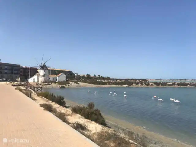 Villa Eléla | Espagne, Murcia, Santiago de la Ribera - villa alentours Lo Pagan