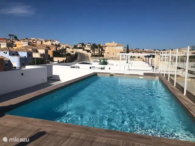 Pool op dakterras, veel privacy