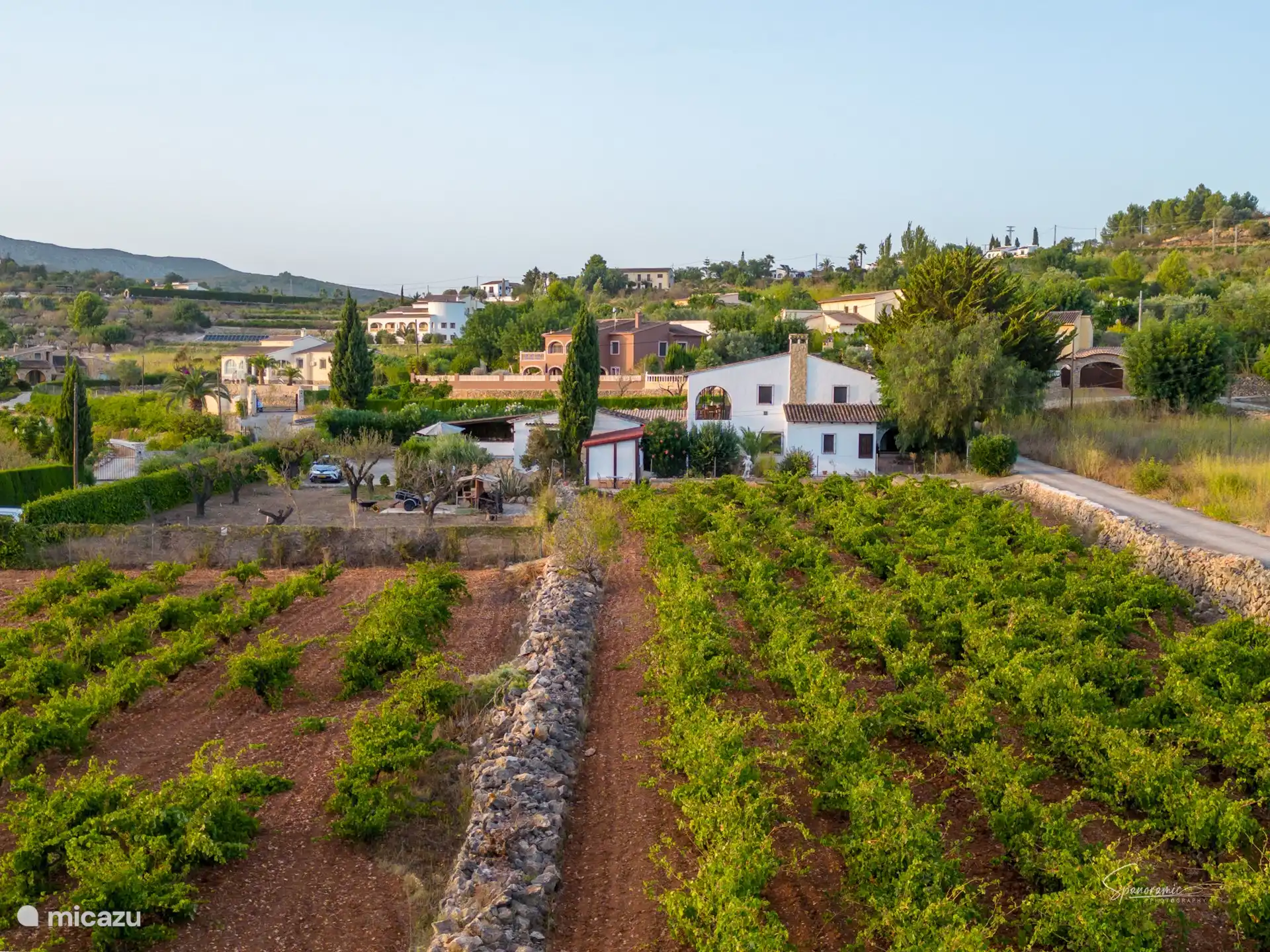 Weinberg Casa Llibertat