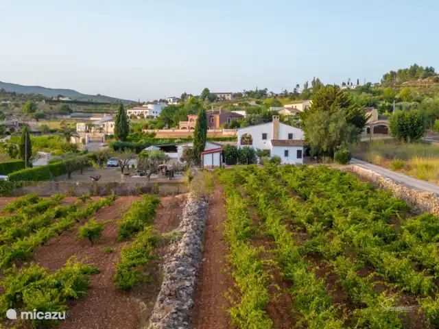tiny house huren in Spanje, Costa Blanca, Lliber – Casa Llibertat Casita Benigembla wijngaard Casa Llibertat