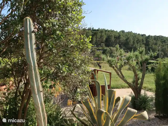 tiny house huren in Spanje, Costa Blanca, Lliber – Casa Llibertat Casita Benigembla uitzicht appartement