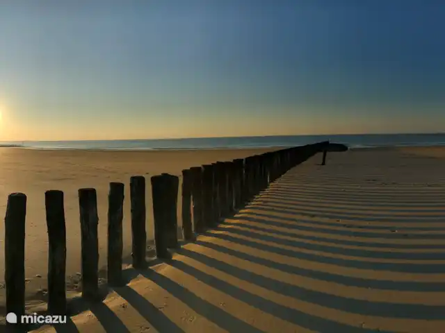 Location de Vacances Pays-Bas, Zélande, Cadzand-Bad, maison de vacances - Maison Cézant (1-001) Plage Cadzand-Bad