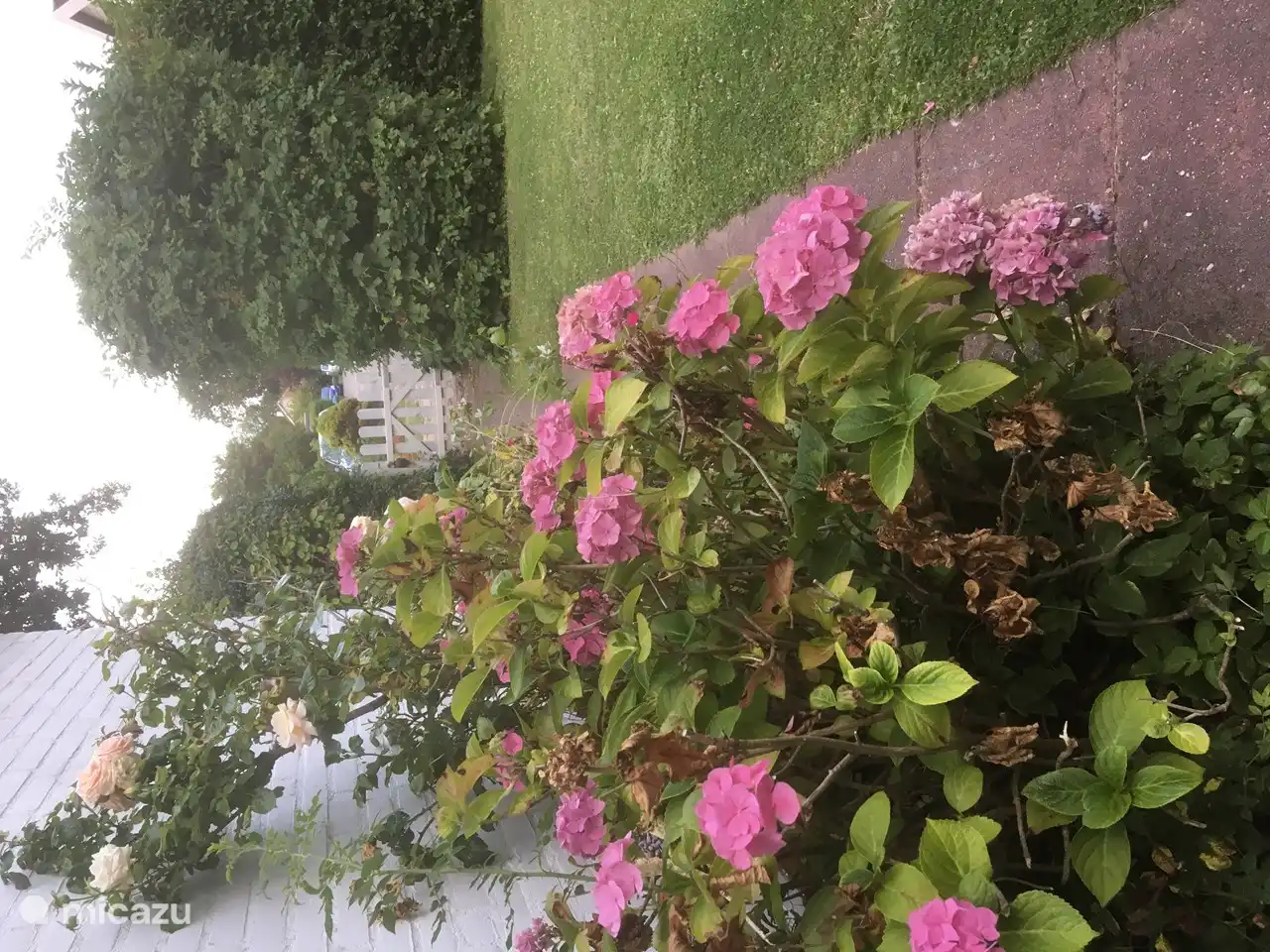 Meeuwenstein 92 in Niederlande, Zeeland, Brouwershaven - Ferienhaus